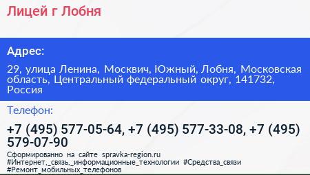 Лицей г Лобня - визитка