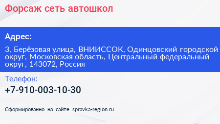 Форсаж сеть автошкол - визитка