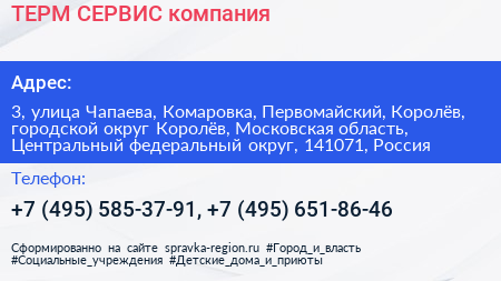 ТЕРМ СЕРВИС компания - визитка