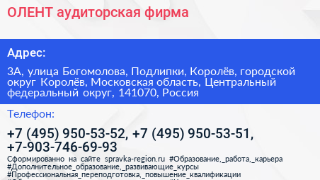 ОЛЕНТ аудиторская фирма - визитка