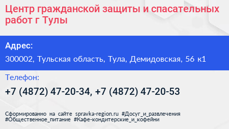 Центр гражданской защиты и спасательных работ г Тулы - визитка