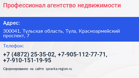 Профессионал агентство недвижимости - визитка