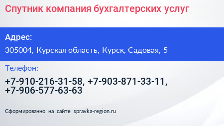 Спутник компания бухгалтерских услуг - визитка