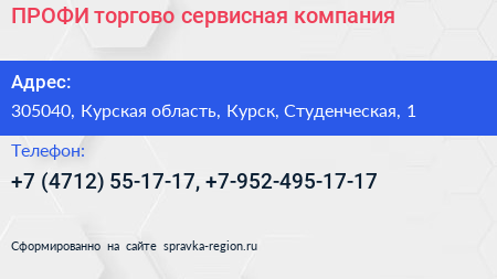ПРОФИ торгово сервисная компания - визитка