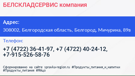БЕЛСКЛАДСЕРВИС компания - визитка