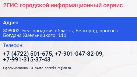2ГИС городской информационный сервис - визитка