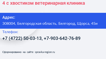 4 с хвостиком ветеринарная клиника - визитка