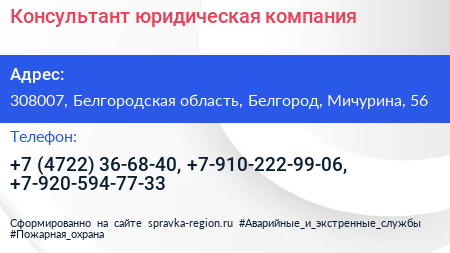Консультант юридическая компания - визитка
