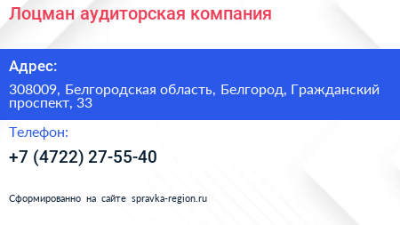 Лоцман аудиторская компания - визитка