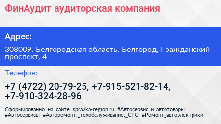 ФинАудит аудиторская компания - визитка