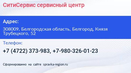 СитиСервис сервисный центр - визитка