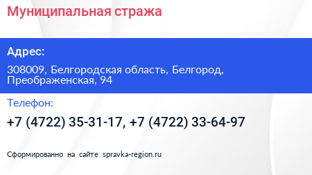Муниципальная стража - визитка