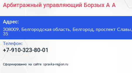 Арбитражный управляющий Борзых А А  - визитка