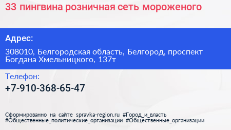 33 пингвина розничная сеть мороженого - визитка