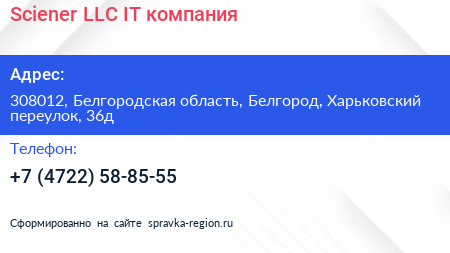 Sciener LLC IT компания - визитка