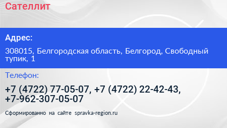 Сателлит - визитка