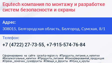 Equtech компания по монтажу и разработке систем безопасности и охраны - визитка