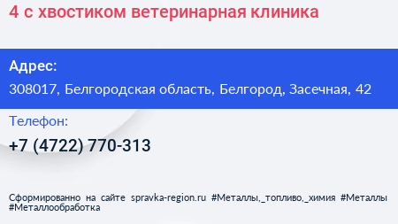 4 с хвостиком ветеринарная клиника - визитка