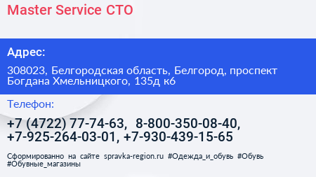 Master Service СТО - визитка