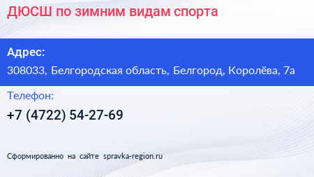 ДЮСШ по зимним видам спорта - визитка