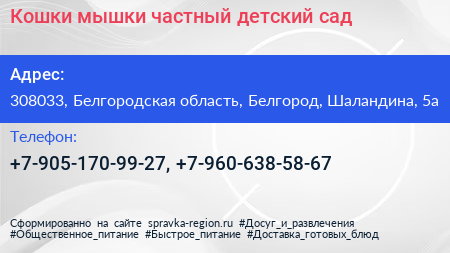 Кошки мышки частный детский сад - визитка