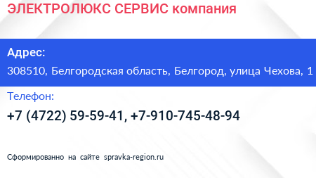 ЭЛЕКТРОЛЮКС СЕРВИС компания - визитка