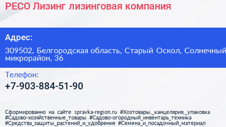 РЕСО Лизинг лизинговая компания - визитка