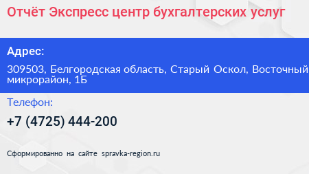 Отчёт Экспресс центр бухгалтерских услуг - визитка