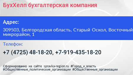 БухХелп бухгалтерская компания - визитка