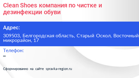Clean Shoes компания по чистке и дезинфекции обуви - визитка