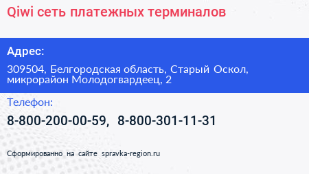 Qiwi сеть платежных терминалов - визитка