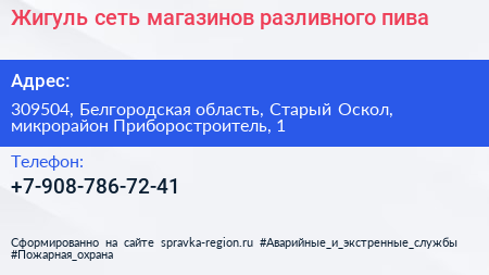 Жигуль сеть магазинов разливного пива - визитка
