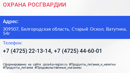 ОХРАНА РОСГВАРДИИ - визитка