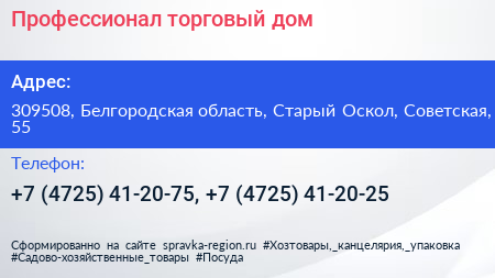 Профессионал торговый дом - визитка