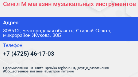 Сингл М магазин музыкальных инструментов - визитка
