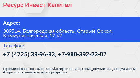 Ресурс Инвест Капитал - визитка