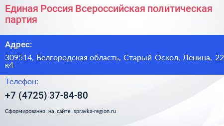 Единая Россия Всероссийская политическая партия - визитка