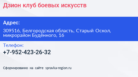 Дзион клуб боевых искусств - визитка
