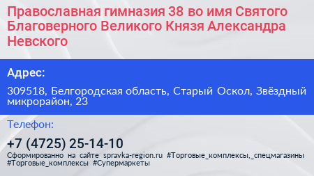 Православная гимназия 38 во имя Святого Благоверного Великого Князя Александра Невского - визитка