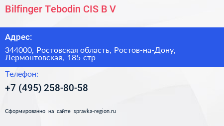 Bilfinger Tebodin CIS B V  - визитка