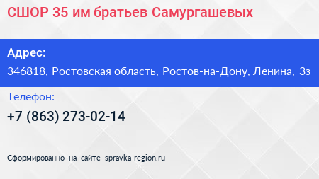 СШОР 35 им братьев Самургашевых - визитка