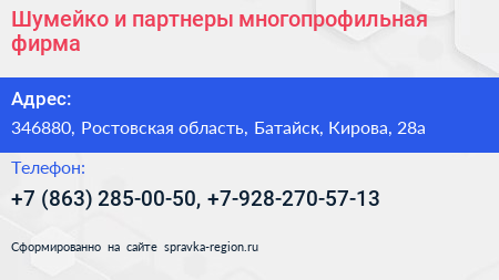 Шумейко и партнеры многопрофильная фирма - визитка