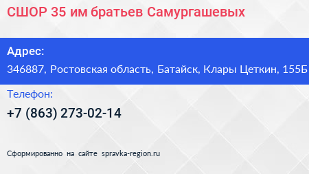 СШОР 35 им братьев Самургашевых - визитка