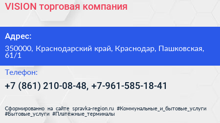 VISION торговая компания - визитка