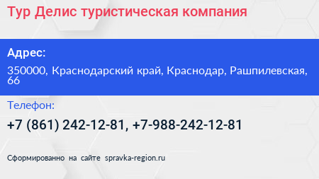 Тур Делис туристическая компания - визитка