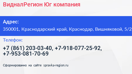ВидналРегион Юг компания - визитка