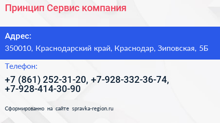 Принцип Сервис компания - визитка