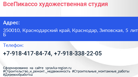 ВсеПикассо художественная студия - визитка