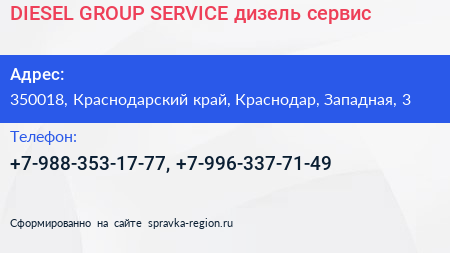 DIESEL GROUP SERVICE дизель сервис - визитка