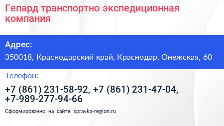 Гепард транспортно экспедиционная компания - визитка